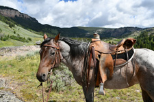 USA-Wyoming-Paintrock Guest Ranch